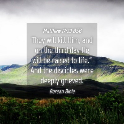Picture 04 - Matthew 17:23 BSB - They will kill Him, and on the third day He will - Bible Verse Picture