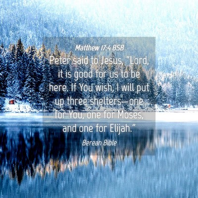 Picture 04 - Matthew 17:4 BSB - Peter said to Jesus, “Lord, it is good for us - Bible Verse Picture