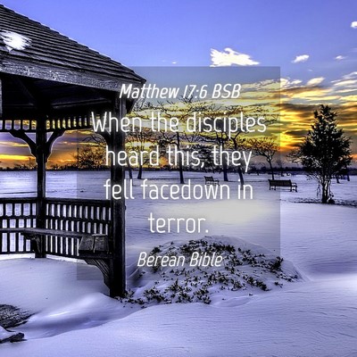 Picture 04 - Matthew 17:6 BSB - When the disciples heard this, they fell facedown - Bible Verse Picture