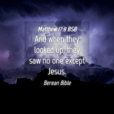 Picture 04 - Matthew 17:8 BSB - And when they looked up, they saw no one except - Bible Verse Picture