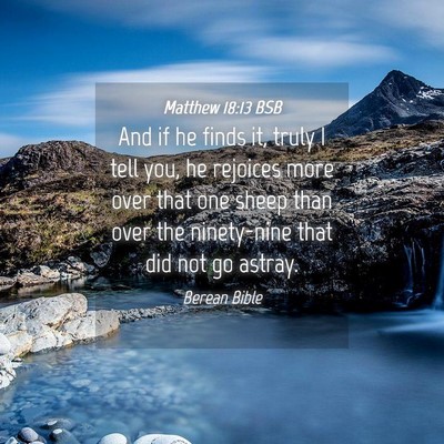Picture 04 - Matthew 18:13 BSB - And if he finds it, truly I tell you, he rejoices - Bible Verse Picture