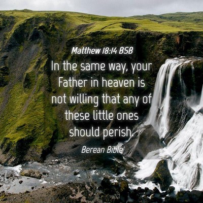 Picture 04 - Matthew 18:14 BSB - In the same way, your Father in heaven is not - Bible Verse Picture