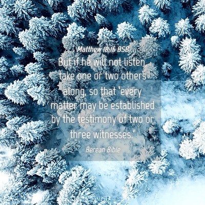 Picture 04 - Matthew 18:16 BSB - But if he will not listen, take one or two others - Bible Verse Picture