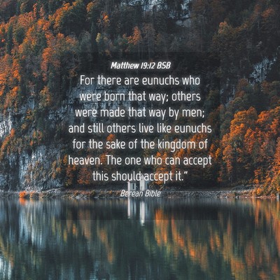Picture 04 - Matthew 19:12 BSB - For there are eunuchs who were born that way; - Bible Verse Picture
