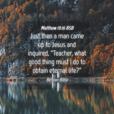 Picture 04 - Matthew 19:16 BSB - Just then a man came up to Jesus and inquired, - Bible Verse Picture