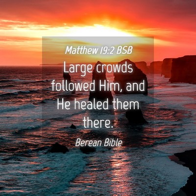 Picture 04 - Matthew 19:2 BSB - Large crowds followed Him, and He healed them - Bible Verse Picture