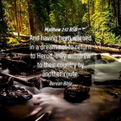 Picture 04 - Matthew 2:12 BSB - And having been warned in a dream not to return - Bible Verse Picture