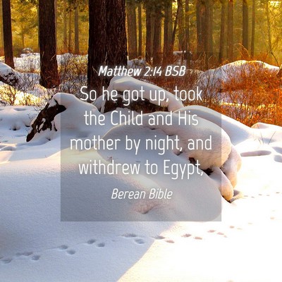 Picture 04 - Matthew 2:14 BSB - So he got up, took the Child and His mother by - Bible Verse Picture