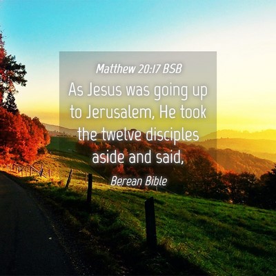 Picture 04 - Matthew 20:17 BSB - As Jesus was going up to Jerusalem, He took the - Bible Verse Picture