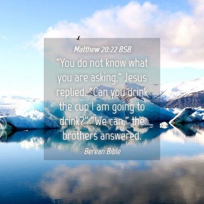 Picture 04 - Matthew 20:22 BSB - “You do not know what you are asking,” Jesus - Bible Verse Picture