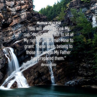 Picture 04 - Matthew 20:23 BSB - “You will indeed drink My cup,” Jesus said. - Bible Verse Picture