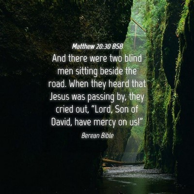 Picture 04 - Matthew 20:30 BSB - And there were two blind men sitting beside the - Bible Verse Picture