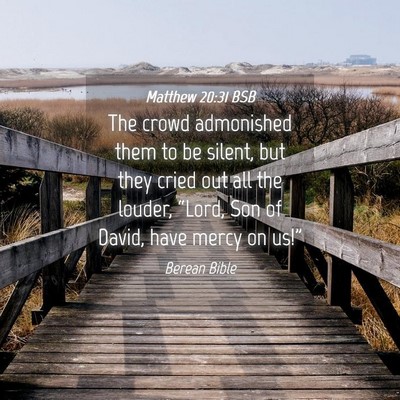 Picture 04 - Matthew 20:31 BSB - The crowd admonished them to be silent, but they - Bible Verse Picture