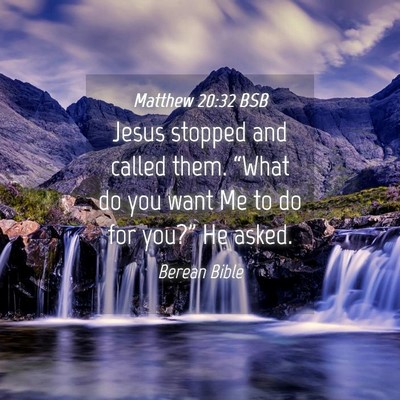 Picture 04 - Matthew 20:32 BSB - Jesus stopped and called them. “What do you - Bible Verse Picture