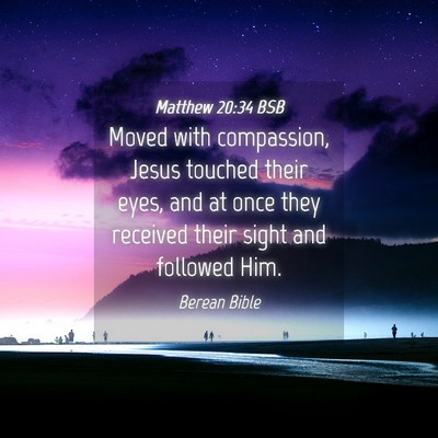 Picture 04 - Matthew 20:34 BSB - Moved with compassion, Jesus touched their eyes, - Bible Verse Picture