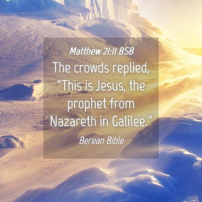 Picture 04 - Matthew 21:11 BSB - The crowds replied, “This is Jesus, the prophet - Bible Verse Picture