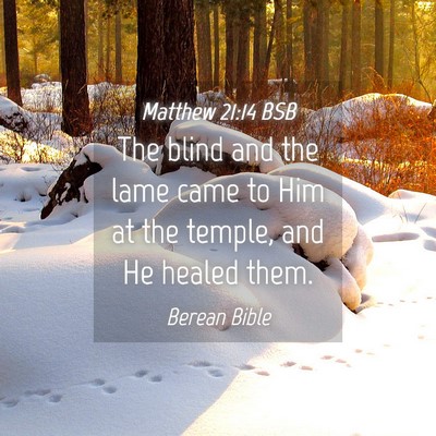 Picture 04 - Matthew 21:14 BSB - The blind and the lame came to Him at the temple, - Bible Verse Picture