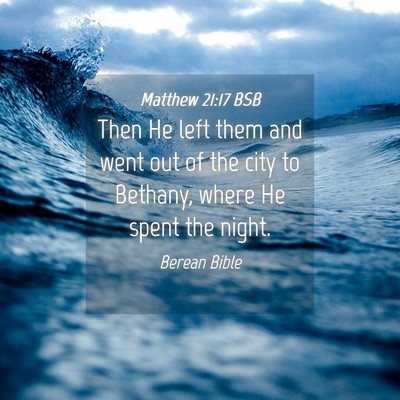 Picture 04 - Matthew 21:17 BSB - Then He left them and went out of the city to - Bible Verse Picture