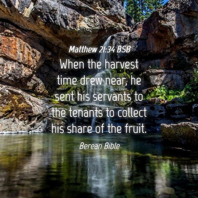 Picture 04 - Matthew 21:34 BSB - When the harvest time drew near, he sent his - Bible Verse Picture