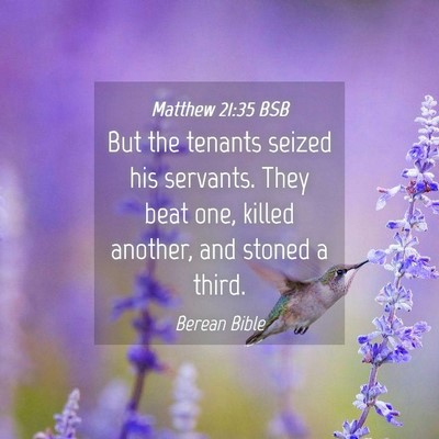 Picture 04 - Matthew 21:35 BSB - But the tenants seized his servants. They beat - Bible Verse Picture