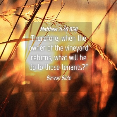 Picture 04 - Matthew 21:40 BSB - Therefore, when the owner of the vineyard - Bible Verse Picture