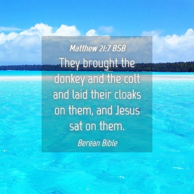Picture 04 - Matthew 21:7 BSB - They brought the donkey and the colt and laid - Bible Verse Picture
