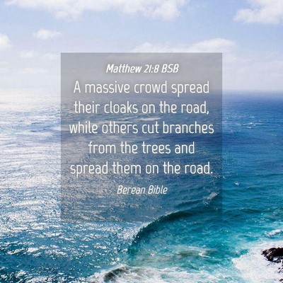 Picture 04 - Matthew 21:8 BSB - A massive crowd spread their cloaks on the road, - Bible Verse Picture
