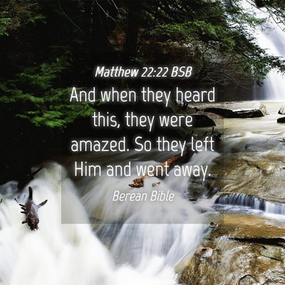Picture 04 - Matthew 22:22 BSB - And when they heard this, they were amazed. So - Bible Verse Picture