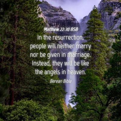 Picture 04 - Matthew 22:30 BSB - In the resurrection, people will neither marry - Bible Verse Picture