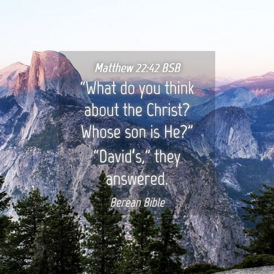 Picture 04 - Matthew 22:42 BSB - “What do you think about the Christ? Whose son - Bible Verse Picture
