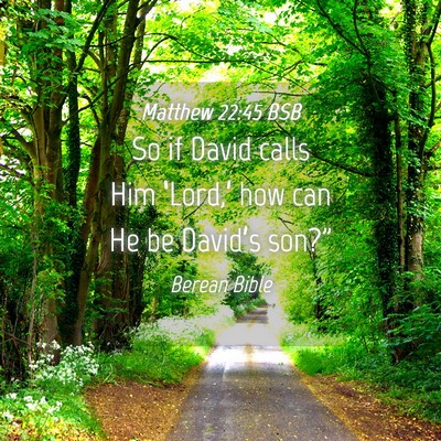 Picture 04 - Matthew 22:45 BSB - So if David calls Him ‘Lord,’ how can He be - Bible Verse Picture