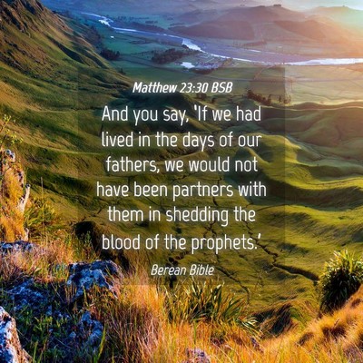 Picture 04 - Matthew 23:30 BSB - And you say, ‘If we had lived in the days of - Bible Verse Picture