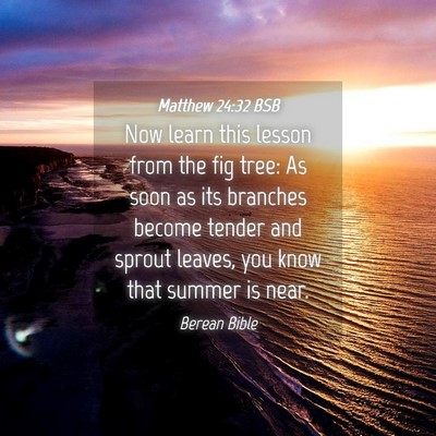 Picture 04 - Matthew 24:32 BSB - Now learn this lesson from the fig tree: As soon - Bible Verse Picture