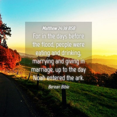Picture 04 - Matthew 24:38 BSB - For in the days before the flood, people were - Bible Verse Picture