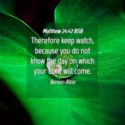 Picture 04 - Matthew 24:42 BSB - Therefore keep watch, because you do not know the - Bible Verse Picture