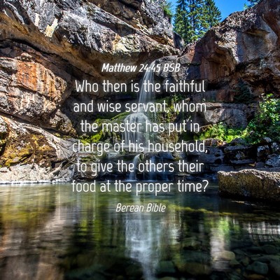 Picture 04 - Matthew 24:45 BSB - Who then is the faithful and wise servant, whom - Bible Verse Picture