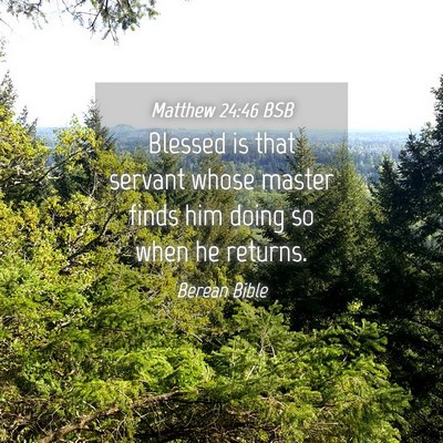 Picture 04 - Matthew 24:46 BSB - Blessed is that servant whose master finds him - Bible Verse Picture