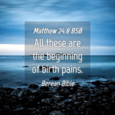 Picture 04 - Matthew 24:8 BSB - All these are the beginning of birth - Bible Verse Picture