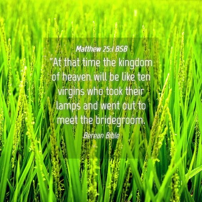 Picture 04 - Matthew 25:1 BSB - “At that time the kingdom of heaven will be - Bible Verse Picture