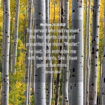 Picture 04 - Matthew 25:20 BSB - The servant who had received the five talents - Bible Verse Picture