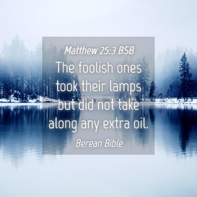 Picture 04 - Matthew 25:3 BSB - The foolish ones took their lamps but did not - Bible Verse Picture