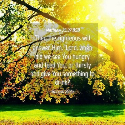 Picture 04 - Matthew 25:37 BSB - Then the righteous will answer Him, ‘Lord, when - Bible Verse Picture