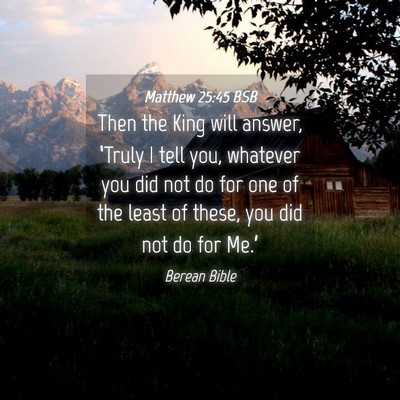 Picture 04 - Matthew 25:45 BSB - Then the King will answer, ‘Truly I tell you, - Bible Verse Picture