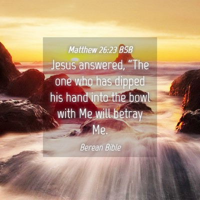 Picture 04 - Matthew 26:23 BSB - Jesus answered, “The one who has dipped his - Bible Verse Picture