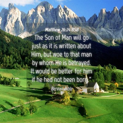 Picture 04 - Matthew 26:24 BSB - The Son of Man will go just as it is written - Bible Verse Picture
