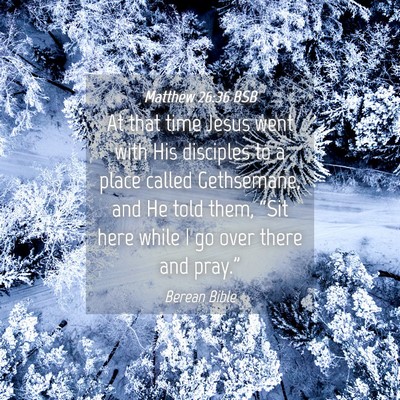 Picture 04 - Matthew 26:36 BSB - At that time Jesus went with His disciples to a - Bible Verse Picture