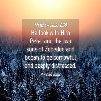 Picture 04 - Matthew 26:37 BSB - He took with Him Peter and the two sons of - Bible Verse Picture
