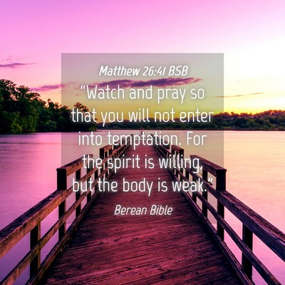 Picture 04 - Matthew 26:41 BSB - “Watch and pray so that you will not enter into - Bible Verse Picture