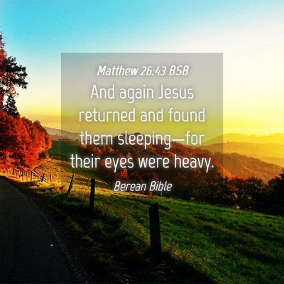 Picture 04 - Matthew 26:43 BSB - And again Jesus returned and found them - Bible Verse Picture