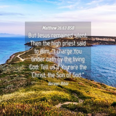 Picture 04 - Matthew 26:63 BSB - But Jesus remained silent. Then the high priest - Bible Verse Picture
